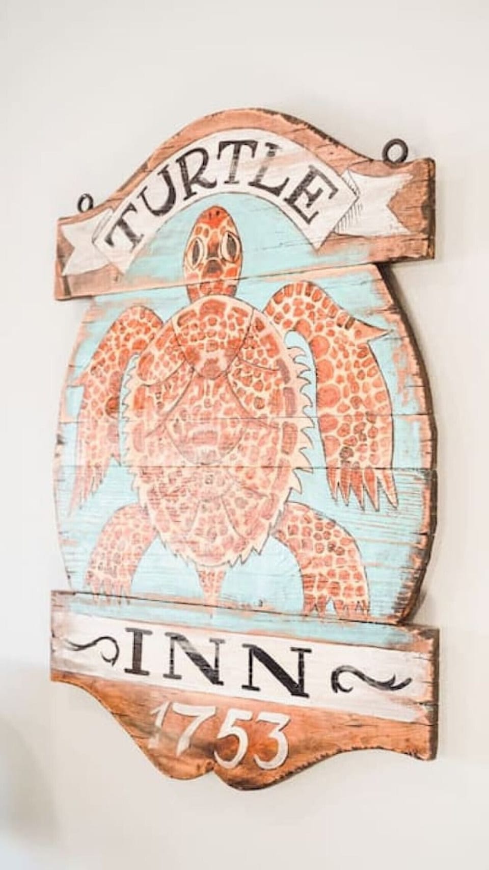 Turtle time