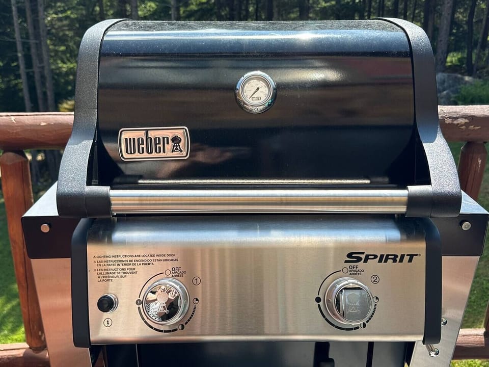 Weber grill for use in spring, summer, fall 