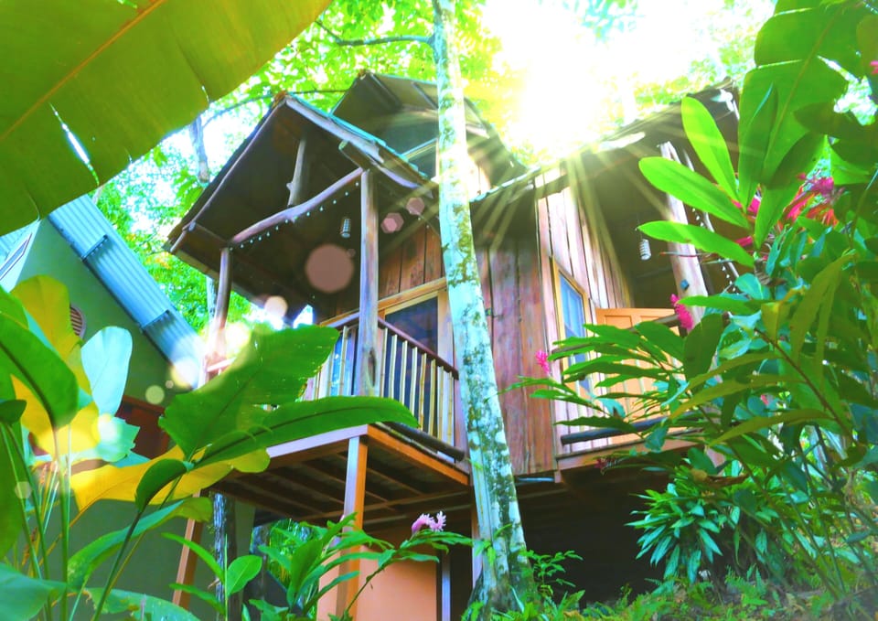 PurUvita 10 Bedroom Resort Style Home