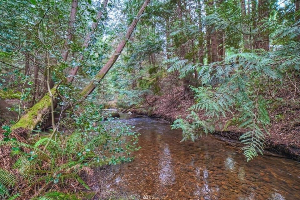 400+ feet of Wildcat creek flow through the property.  Wildcat creek flows from Wildcat Lake and ends up in Puget Sound.  
Be sure to visit the old fish ladder on the property during salmon runs to watch salmon swimming upstream to spawn.  