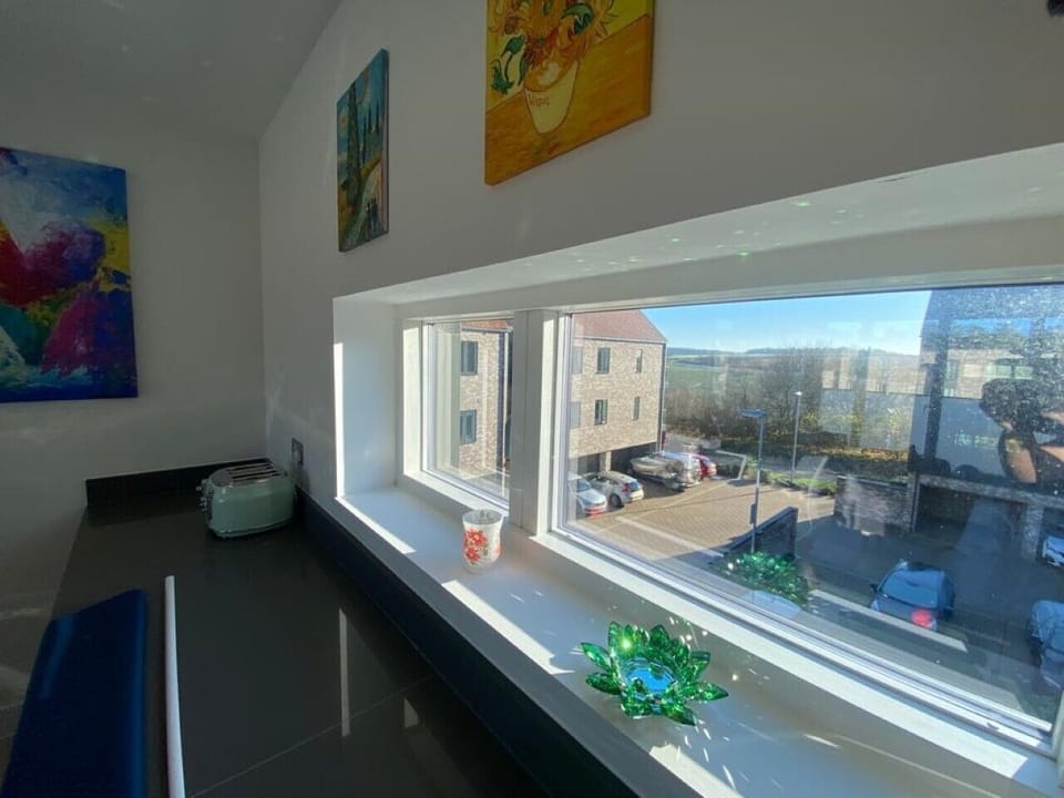 Kitchen window
