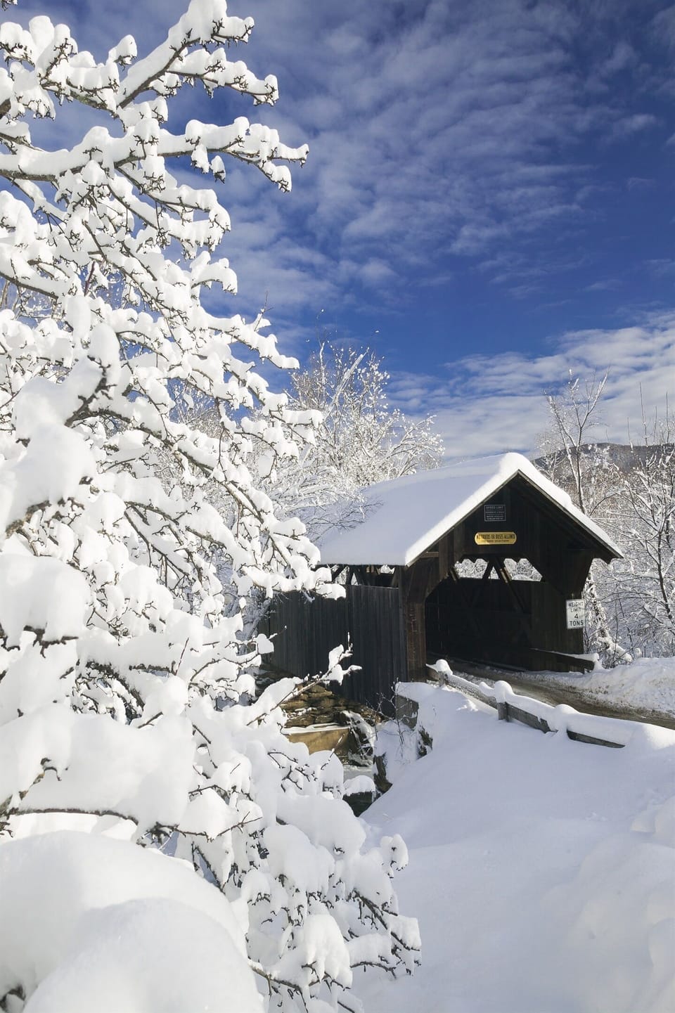 Drive around beautiful Stowe!