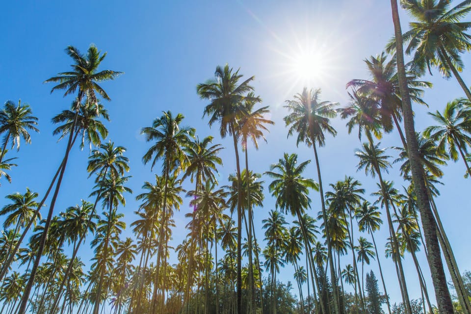 Conveniently located in the Coconut Coast of Kapaa