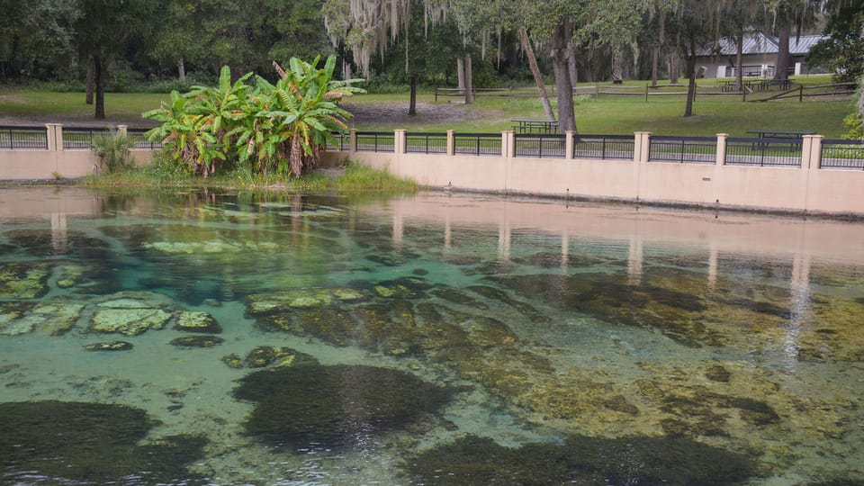 Dont forget snorkeling and floating in cool, clear water at Salt Springs. 
