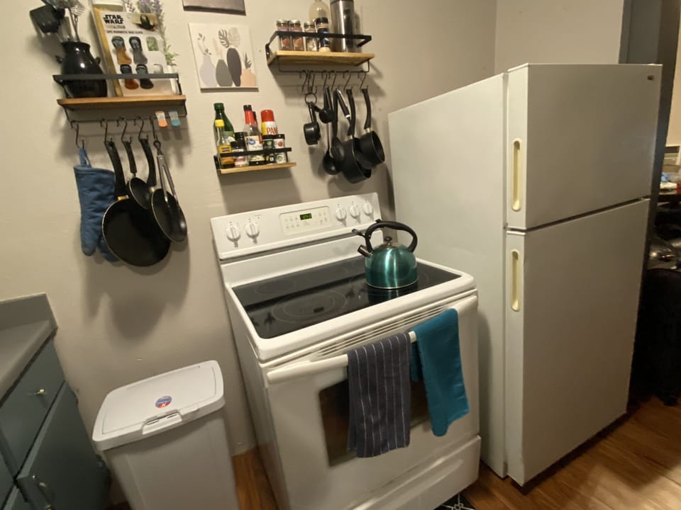 Electric stove with oven for your daily comfort, refrigerator.