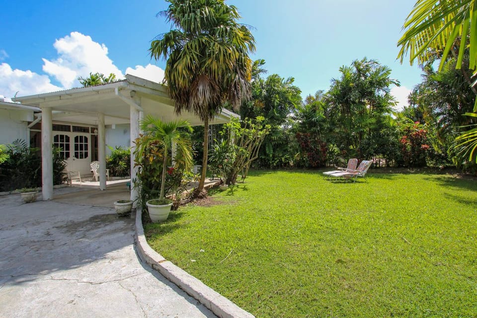Lovely large front garden surrounded by palms