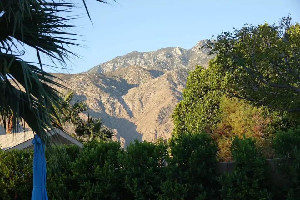 Backyard View