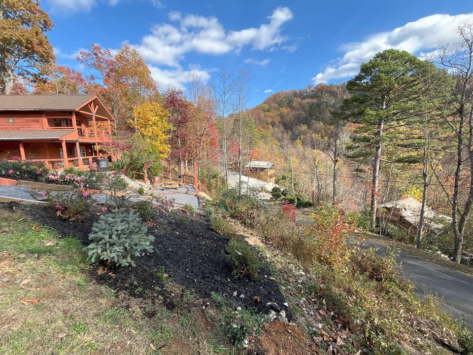 the colors of fall