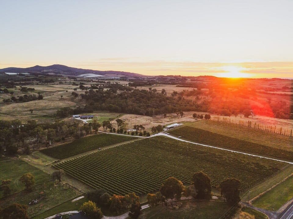 Swinging Bridge Wines