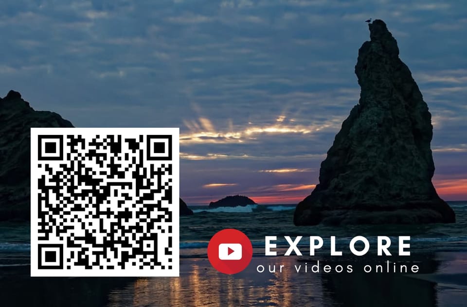 See more videos on our Youtube: https://youtube.com/playlist?list=PLx6P8GaosTjE3_odP5oHxW-9Llu2j9KWb