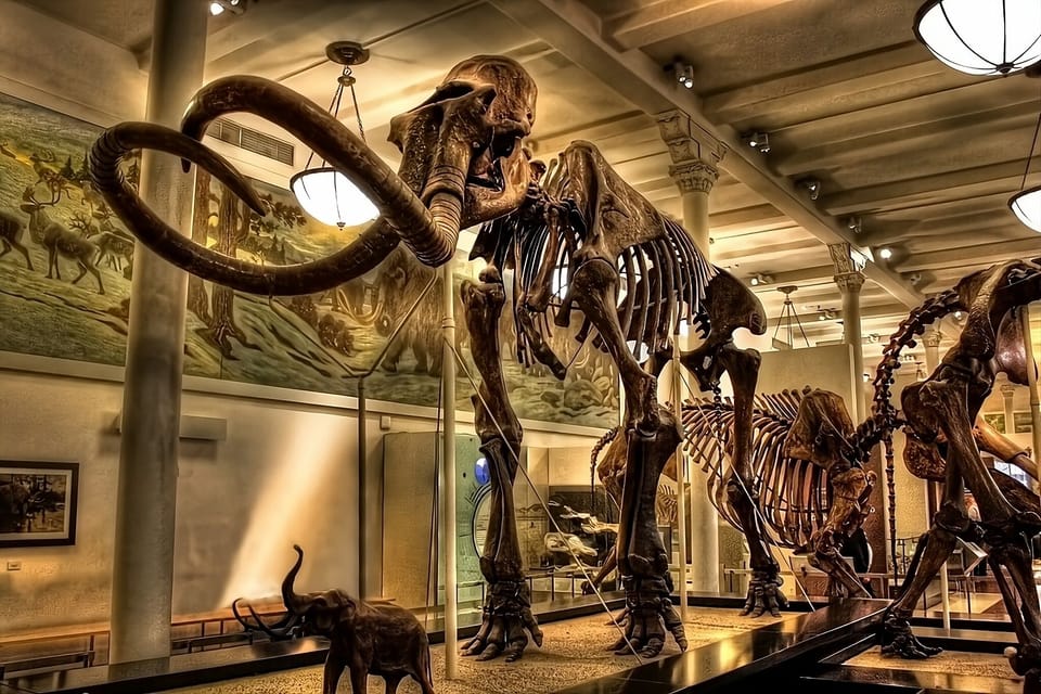 Discover unforgettable museum moments during your neighborhood adventures.