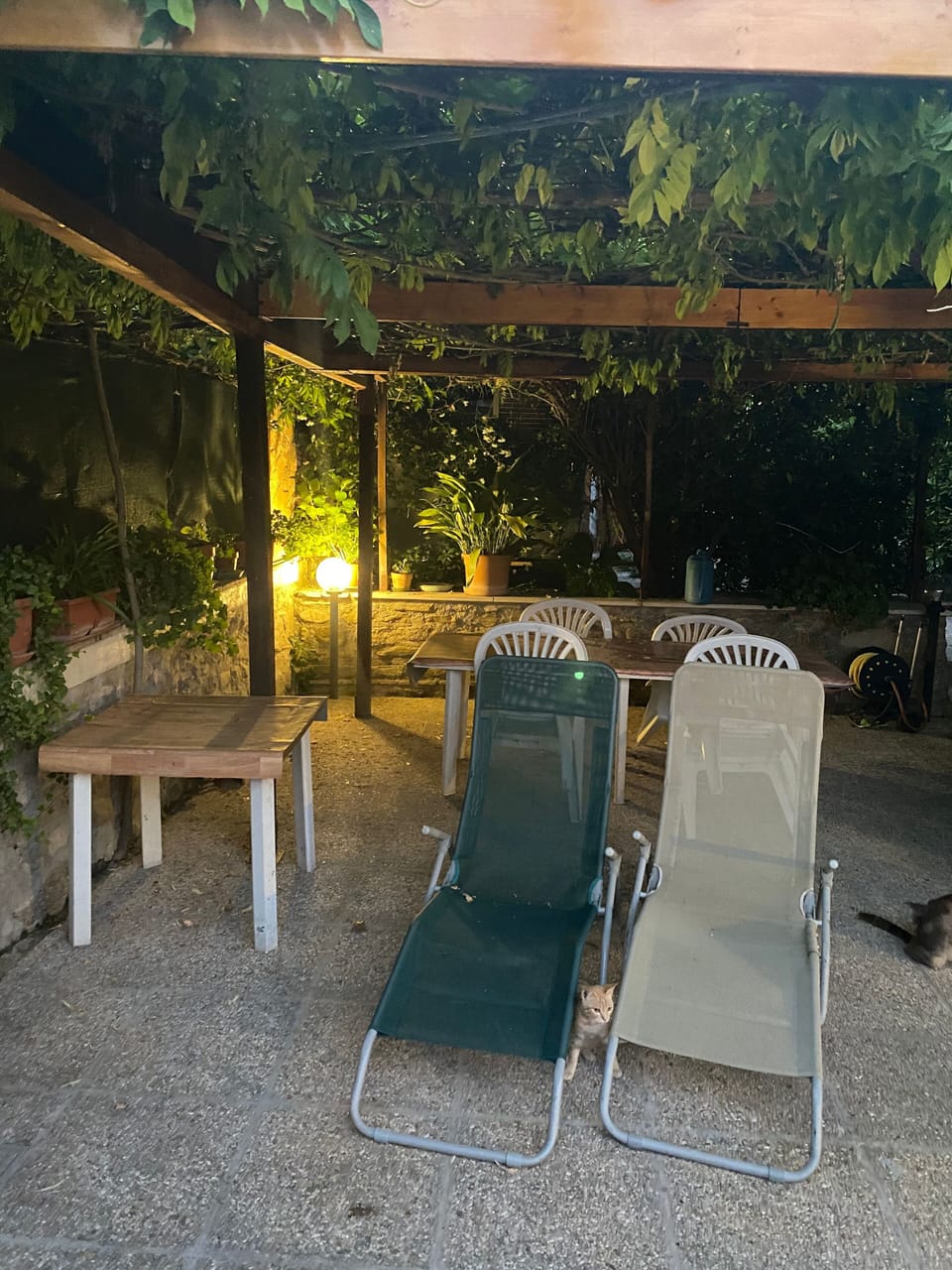 Outdoor dining