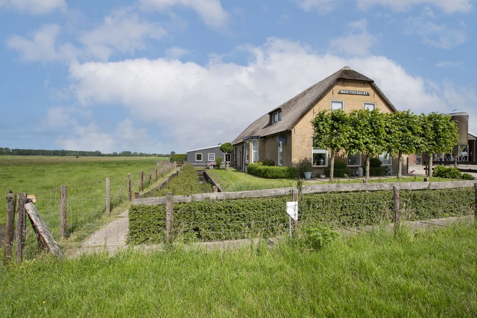 Cozy 6-person apartment on a farm Apartment in South Holland (province)