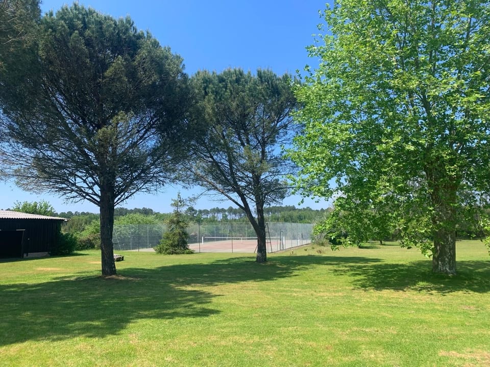 Sport court