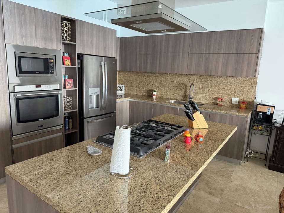 Kitchen gas stove