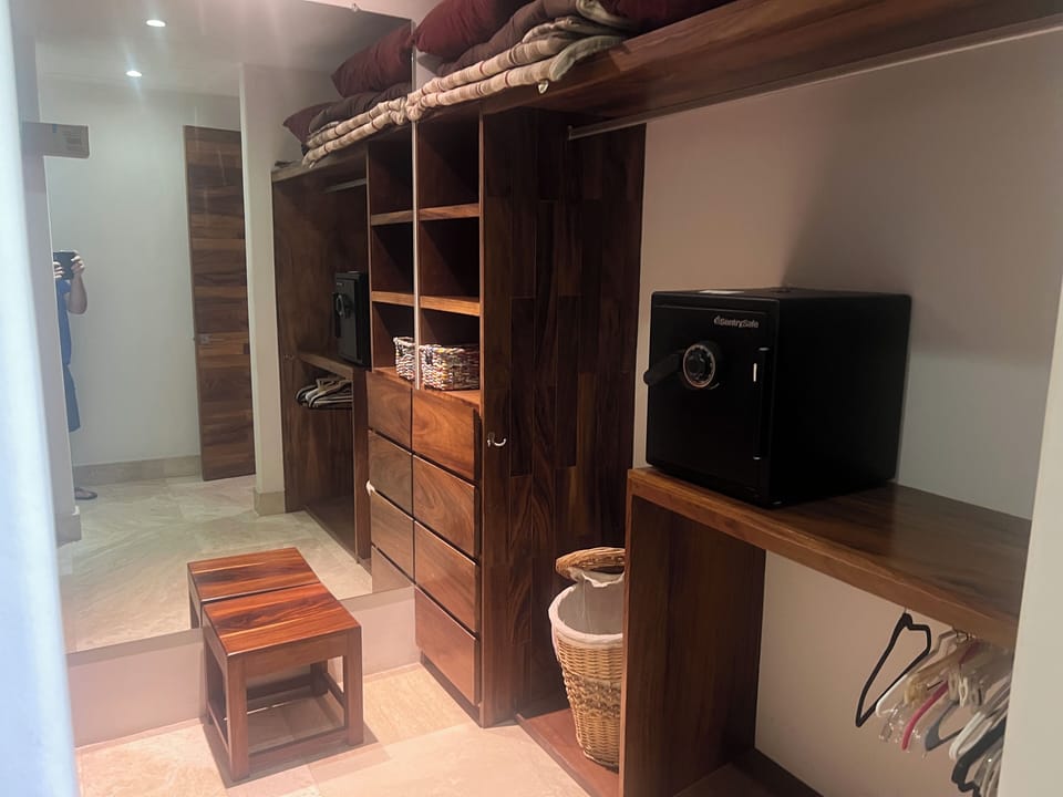 Master closet and changing area