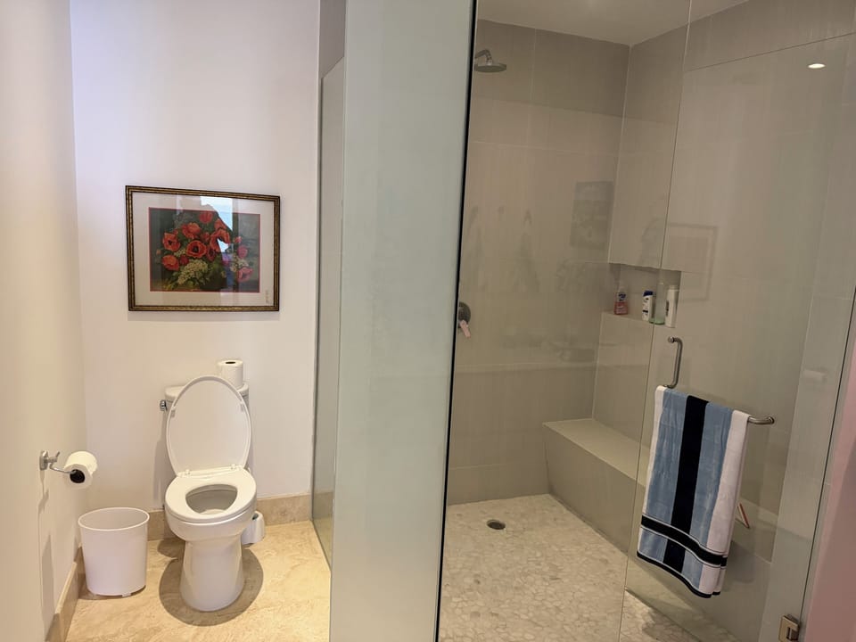 Master bathroom and shower