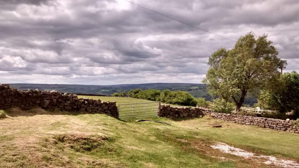 View from cottage window