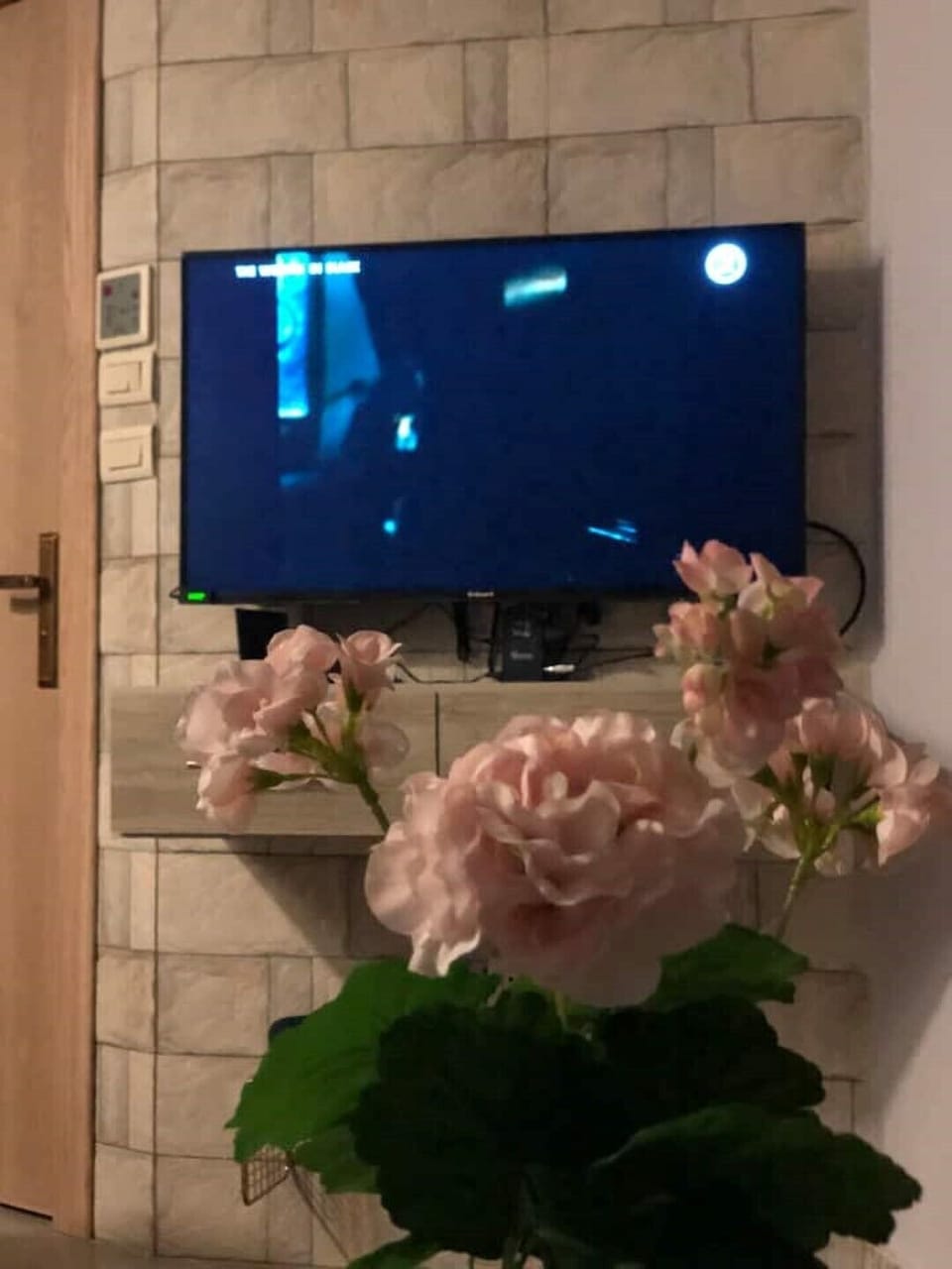 Television