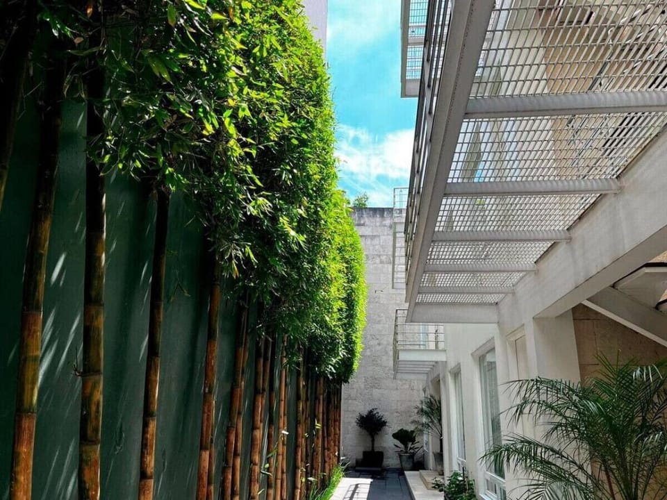 mail hall, bamboo, nature, plants