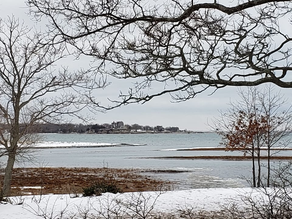 Winter beauty