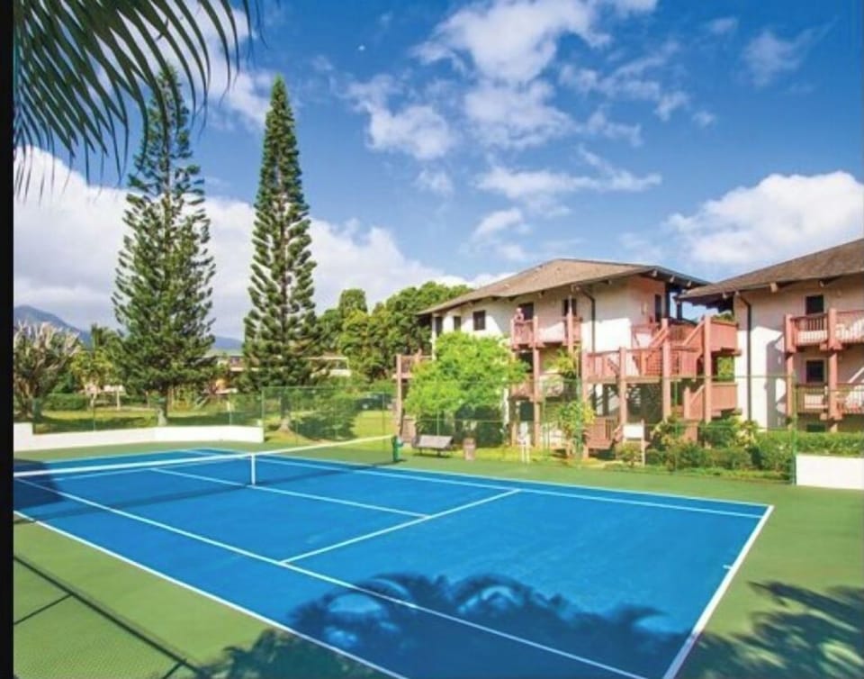 Sport court