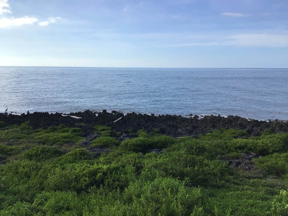 View from porch