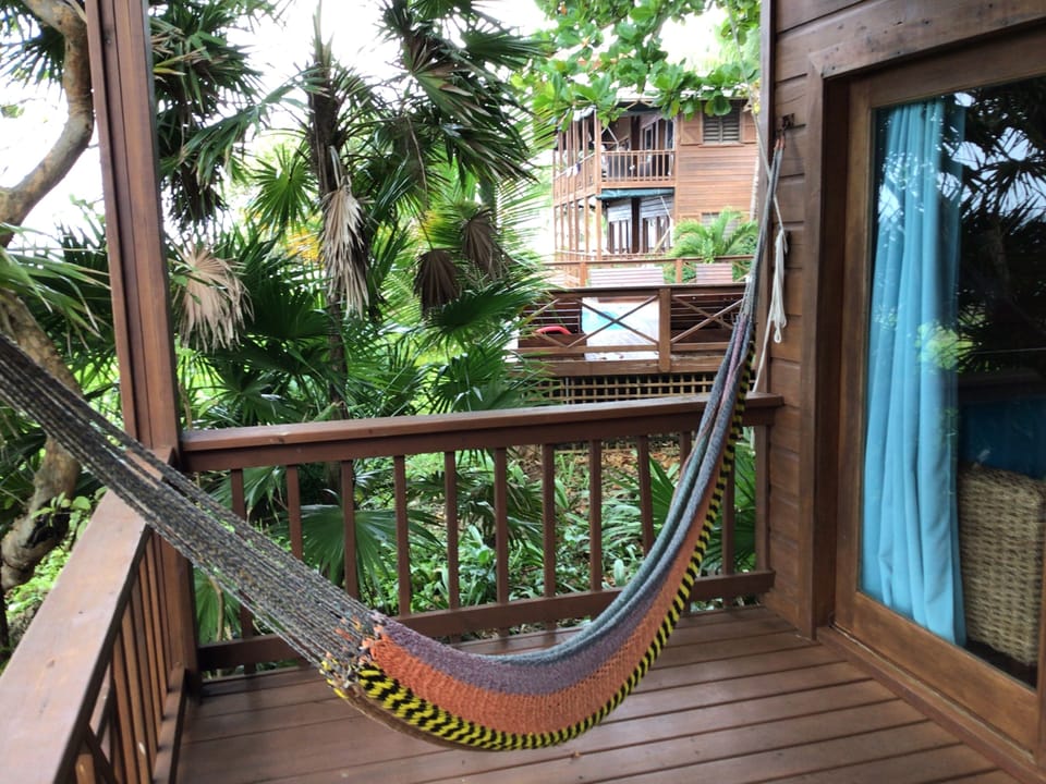 Hammock