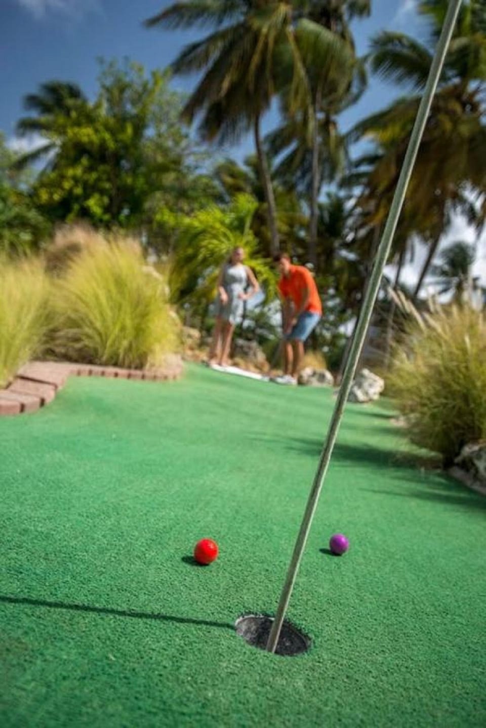 Play a carefree round of mini-golf in tropical gardens.