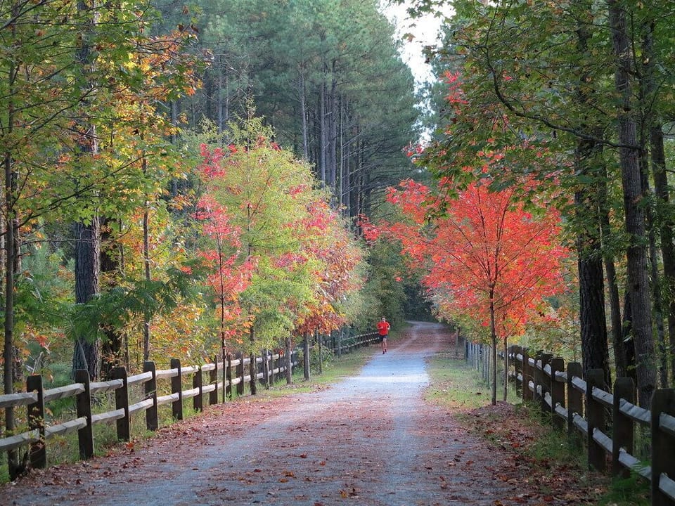 Over 100 miles of Greenways in Cary. Black Creek Trailhead 2 mins drive. 