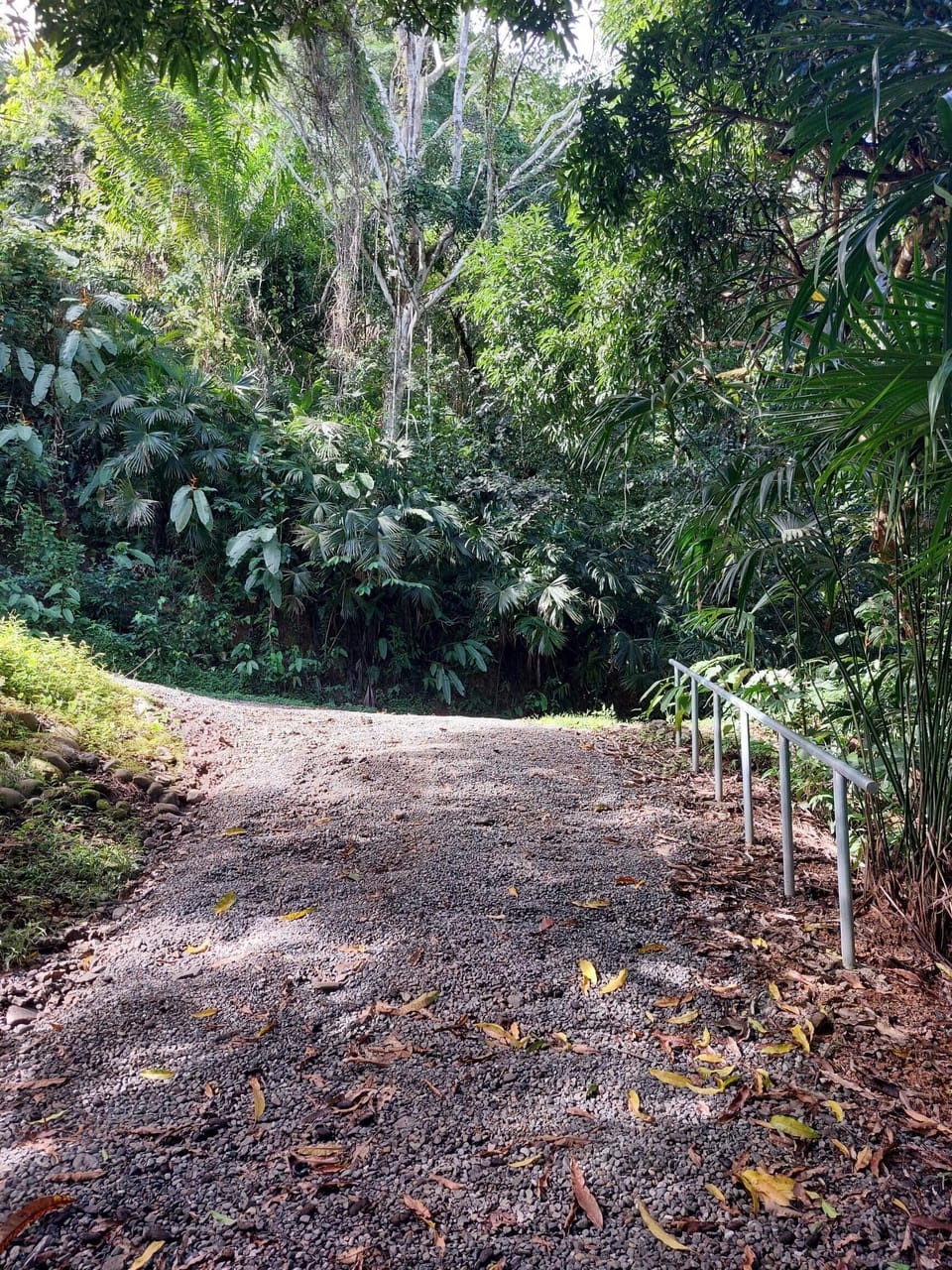 Approach to house and parking