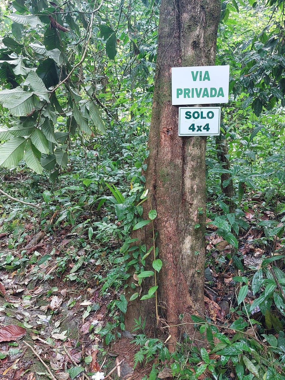 4WD recommended