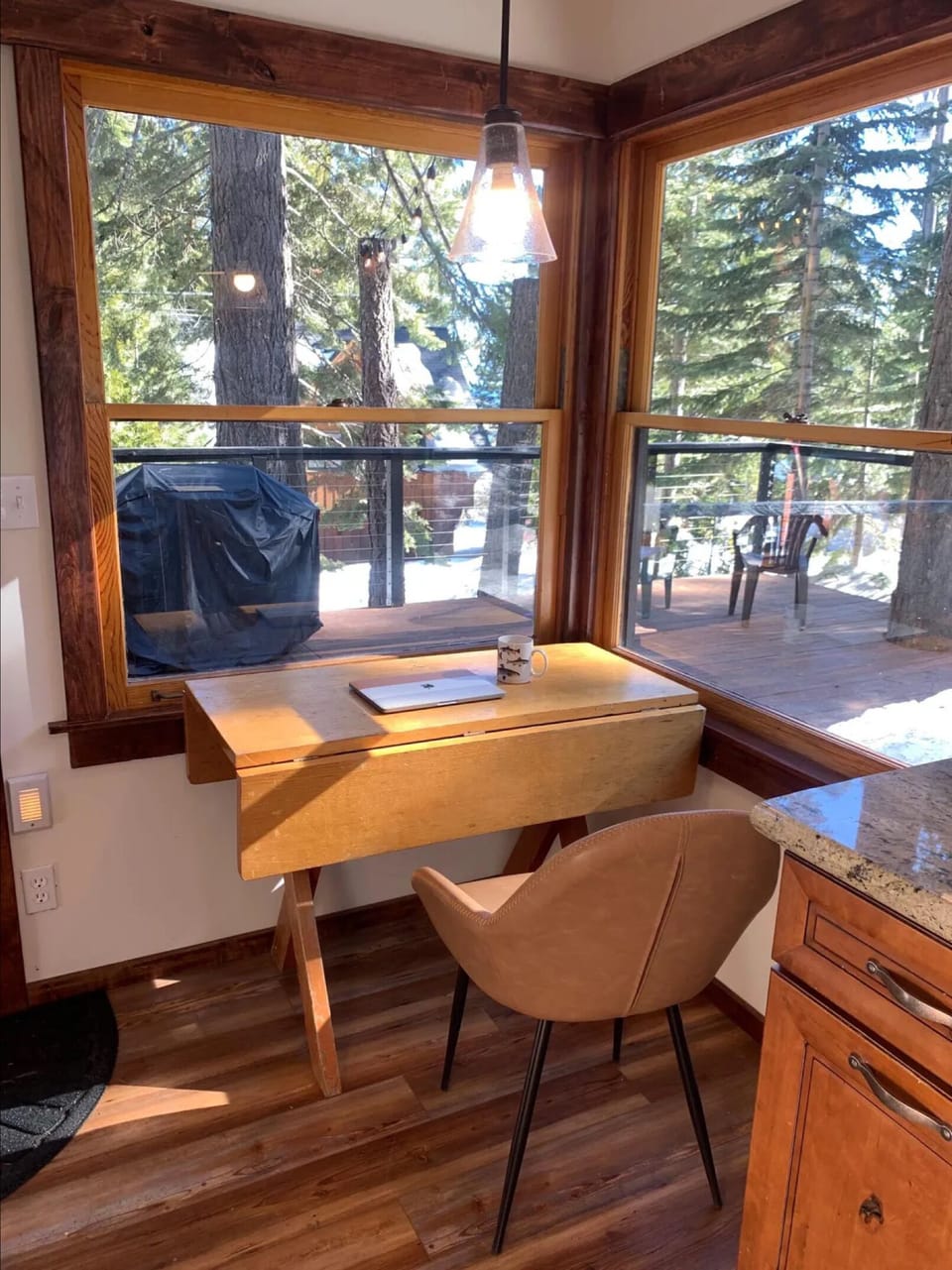 Scenic Views from every window! 