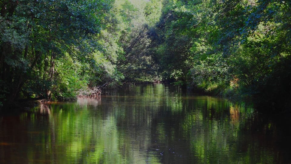 The Douffine river down the track from the Gites
