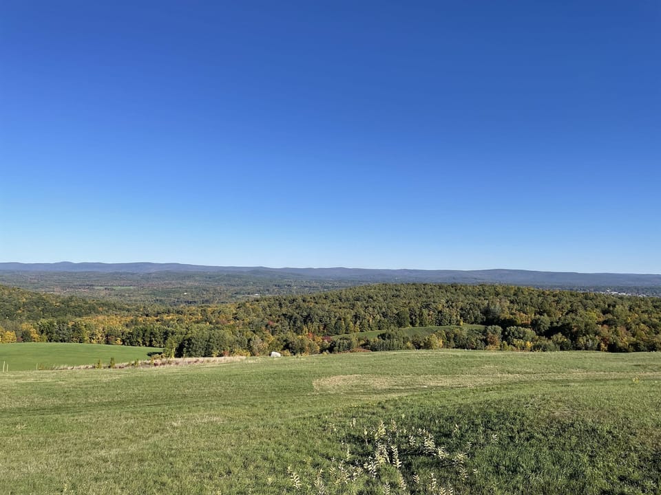 Scenic views of area