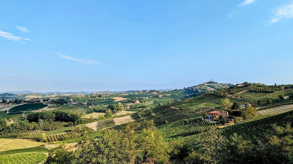 Panoramic view on the vineyards and the village of Calosso