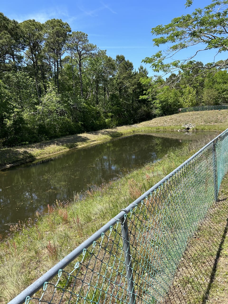back yard fence with pond view