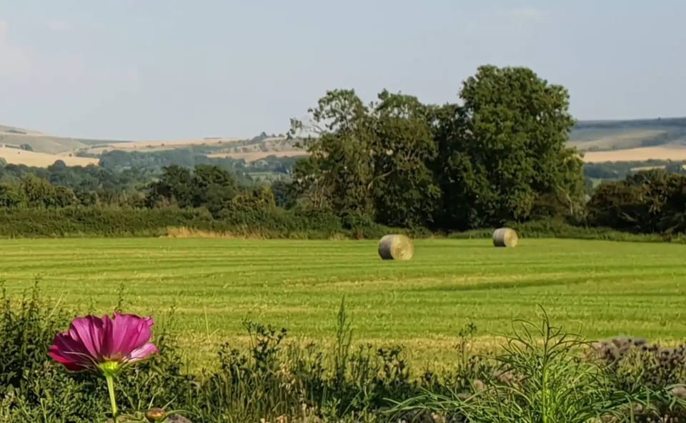 Field in front of bnb