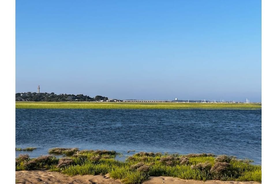 View from the dunes.