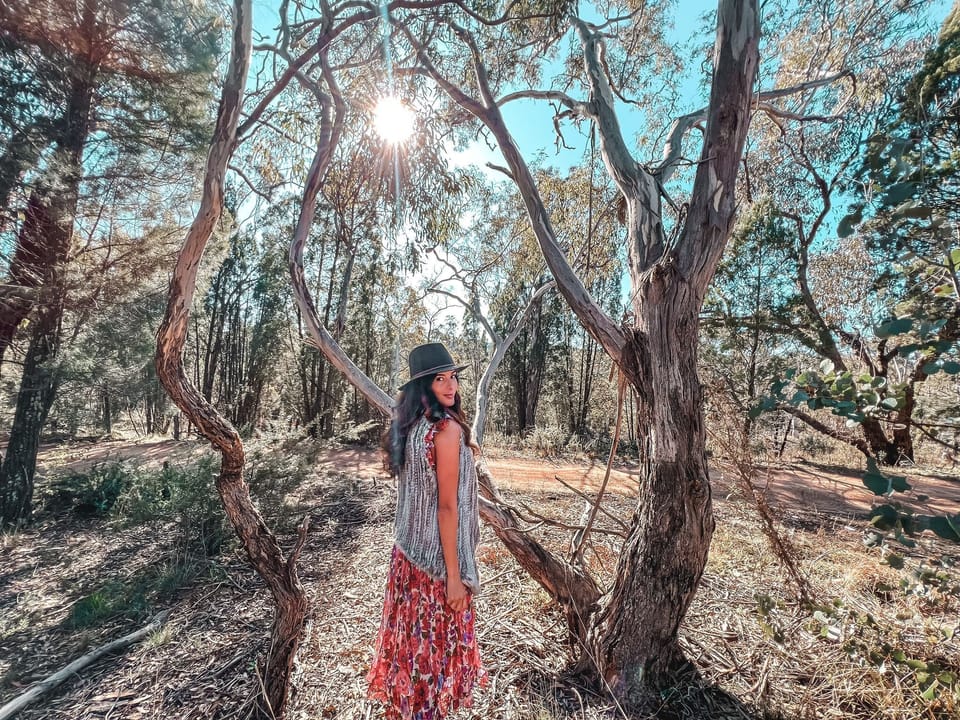 Bushwalk into private wilderness 