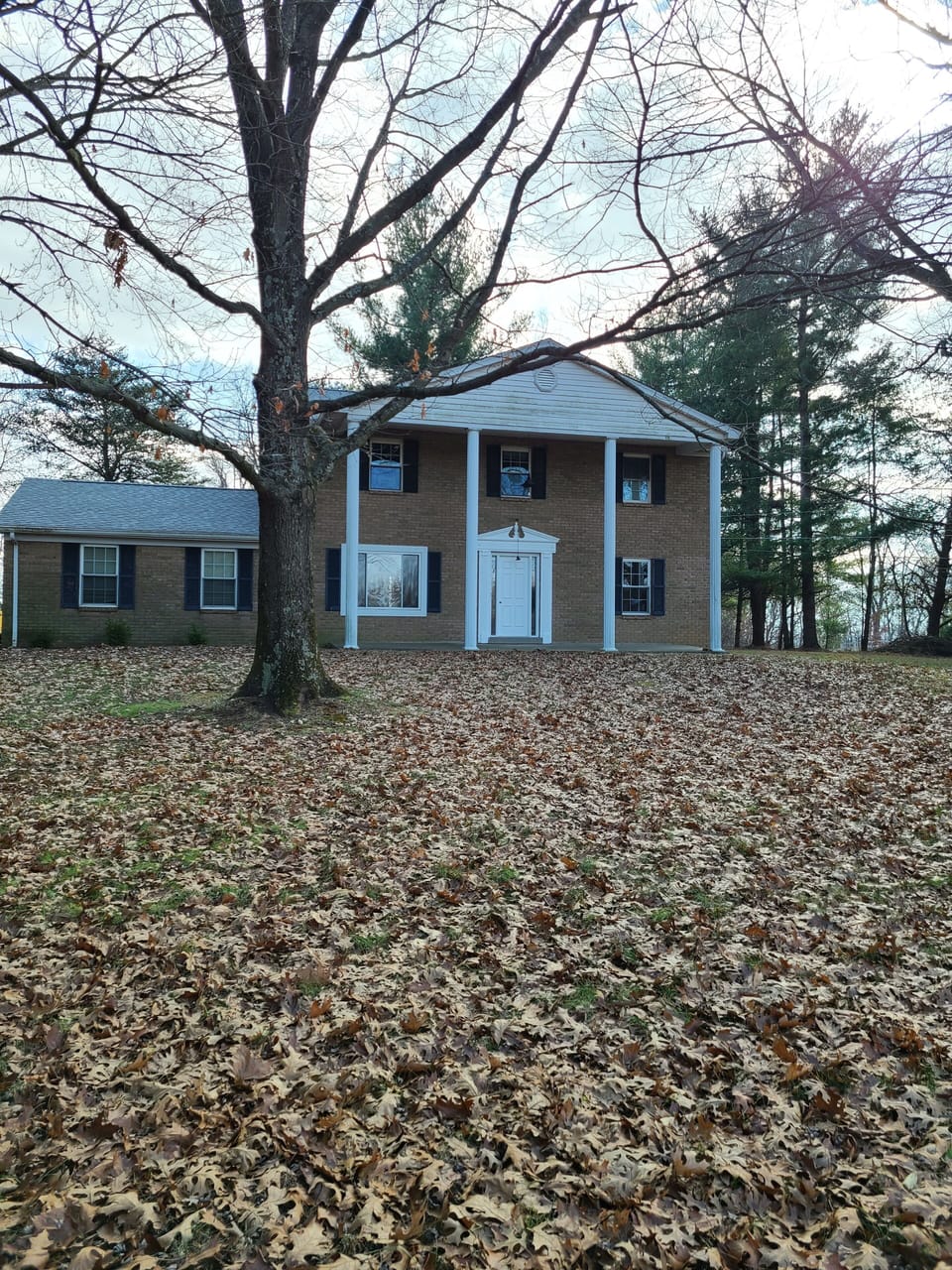 Friont view of the house.