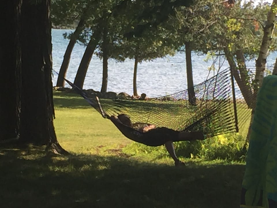 lounging in the lakeside hammack