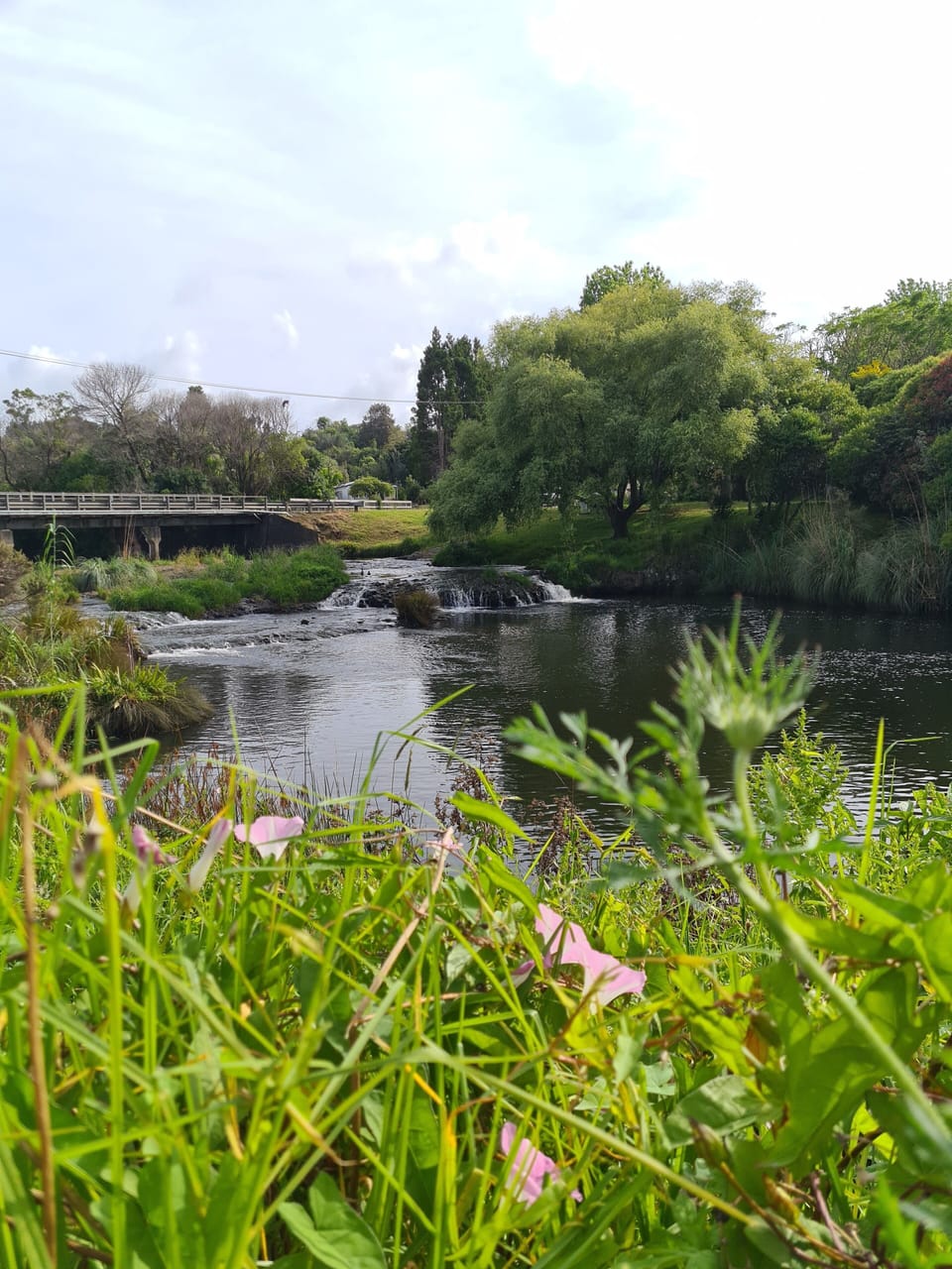 Landing road bridge near the Waipapa Landing boat ramp