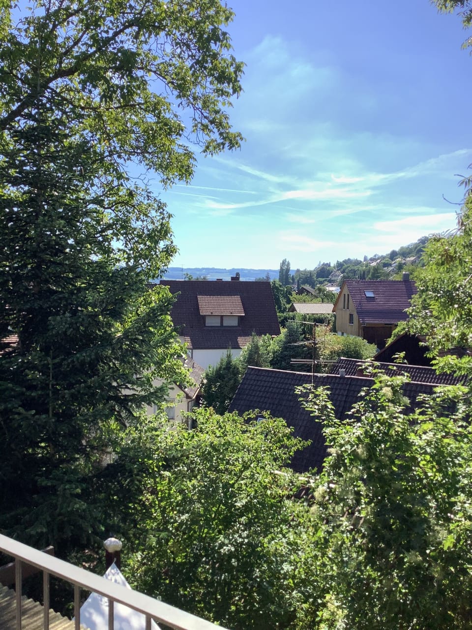 View from property