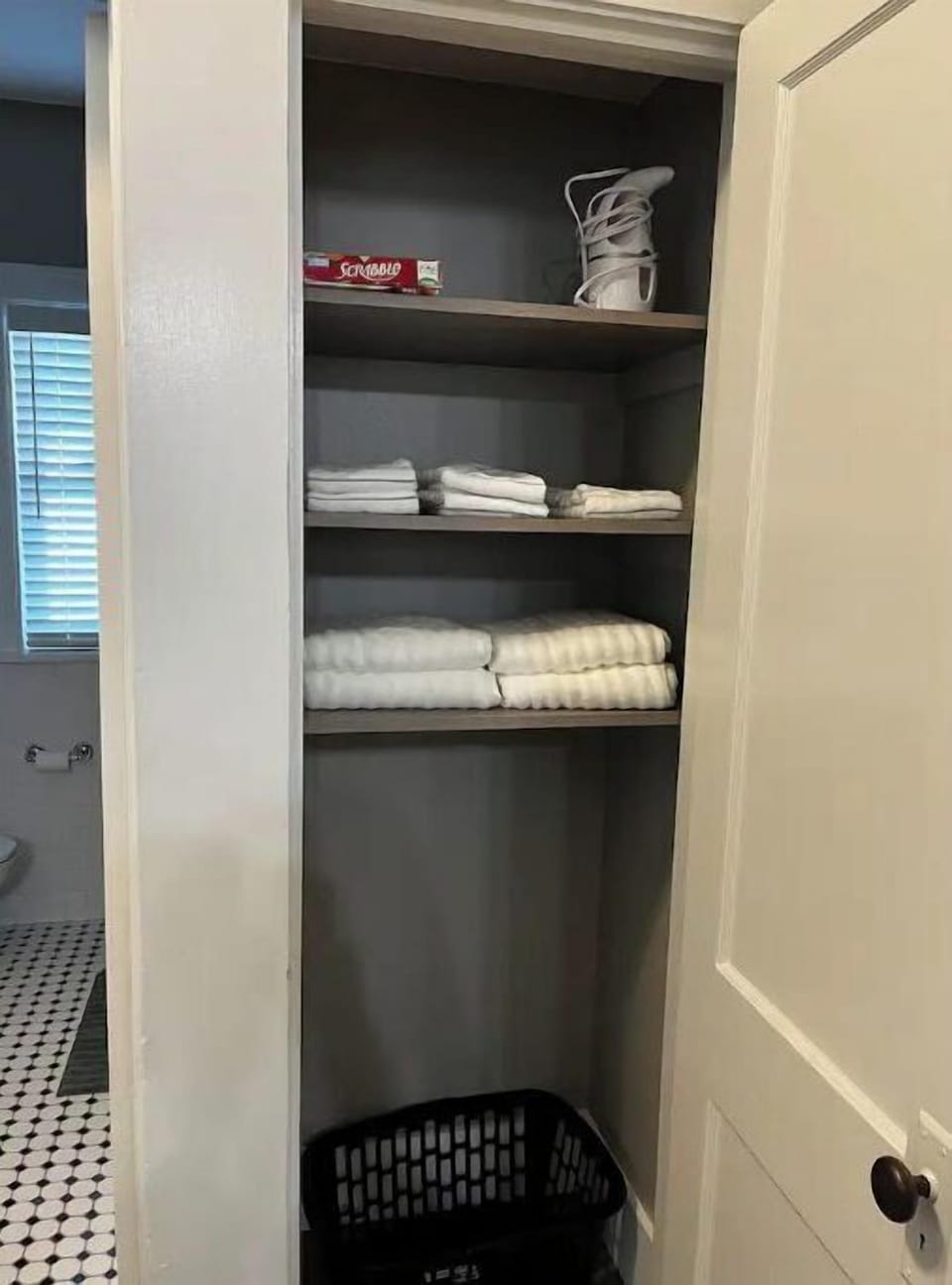 Hall closet with additional bathroom supplies and clothes steamer.