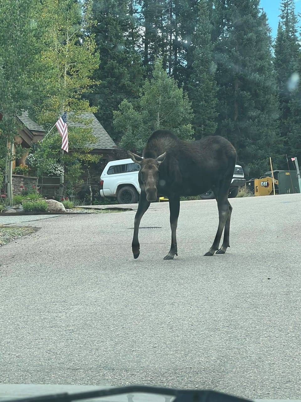 Local neighborhood resident