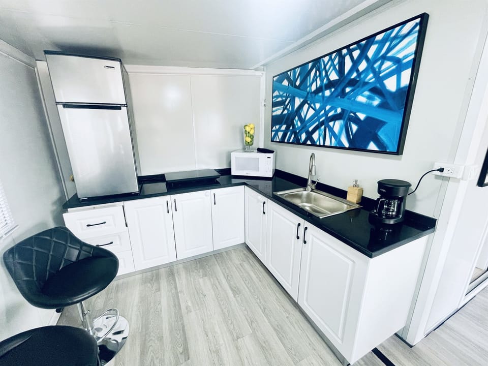 Kitchen with Induction Cooktop