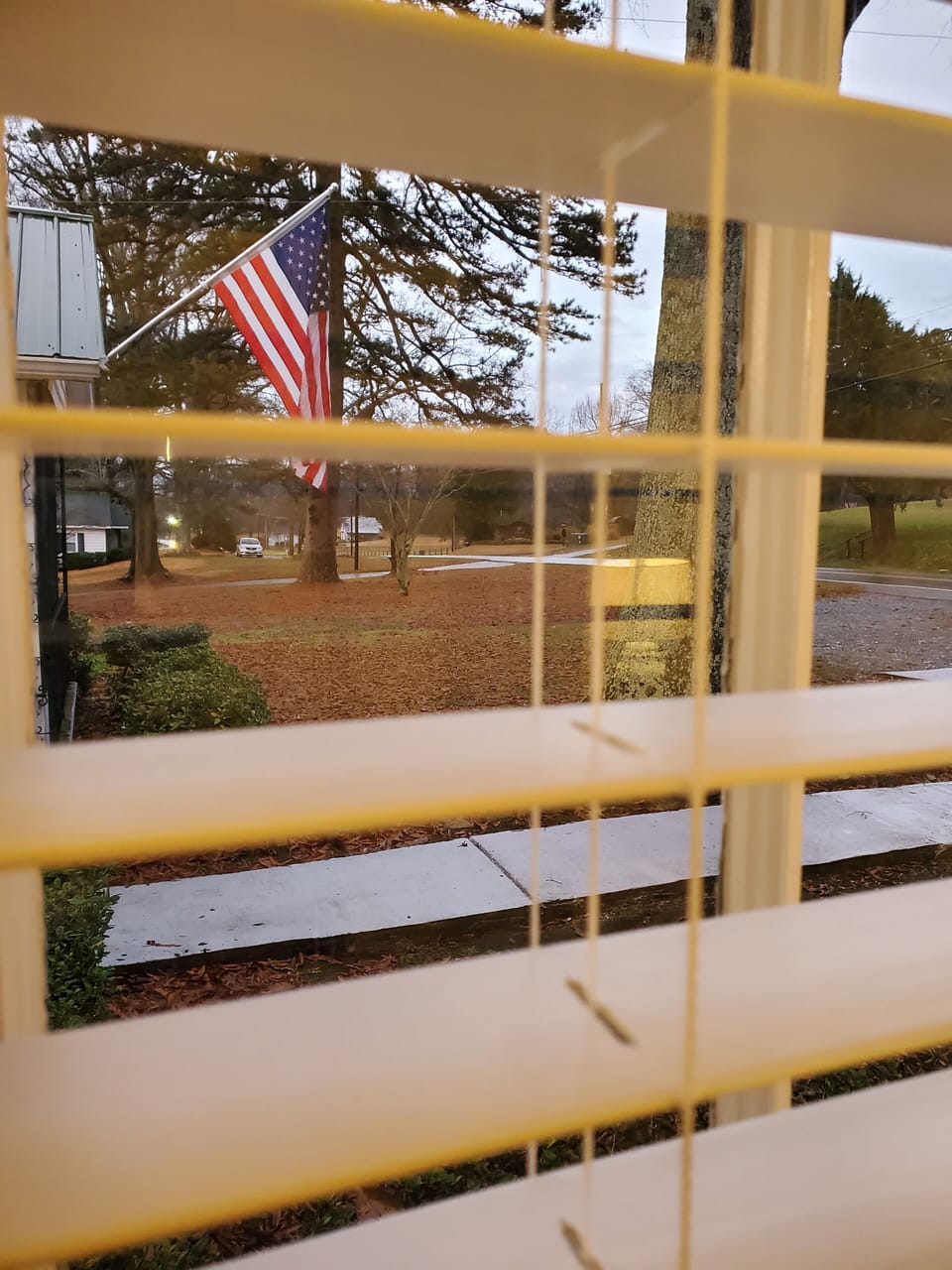 View from property