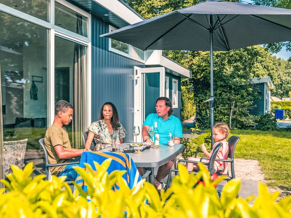 Plant, Botany, Leaf, Table, Shade, Yellow, Chair, Tree, Leisure, Outdoor Furniture