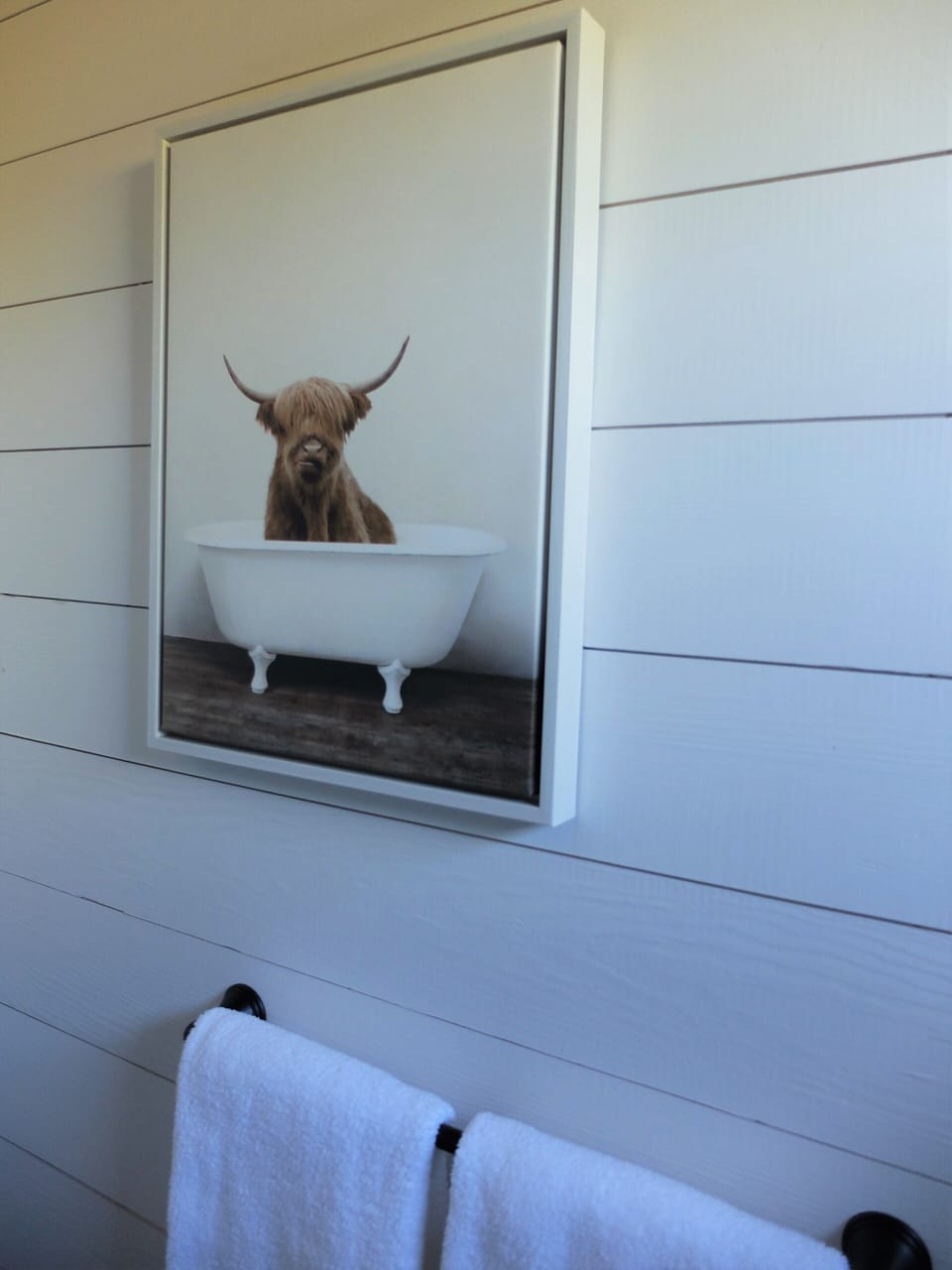 A cow, taking a bath :)